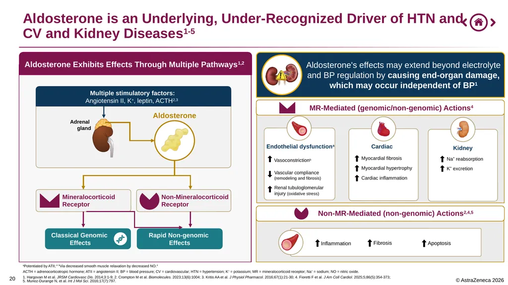 0 Important Information for Health Care Providers - slide 20 of 32
