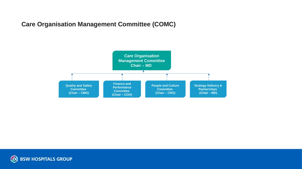 Care Organisation Committee Structures July 2026 - slide 2 of 6