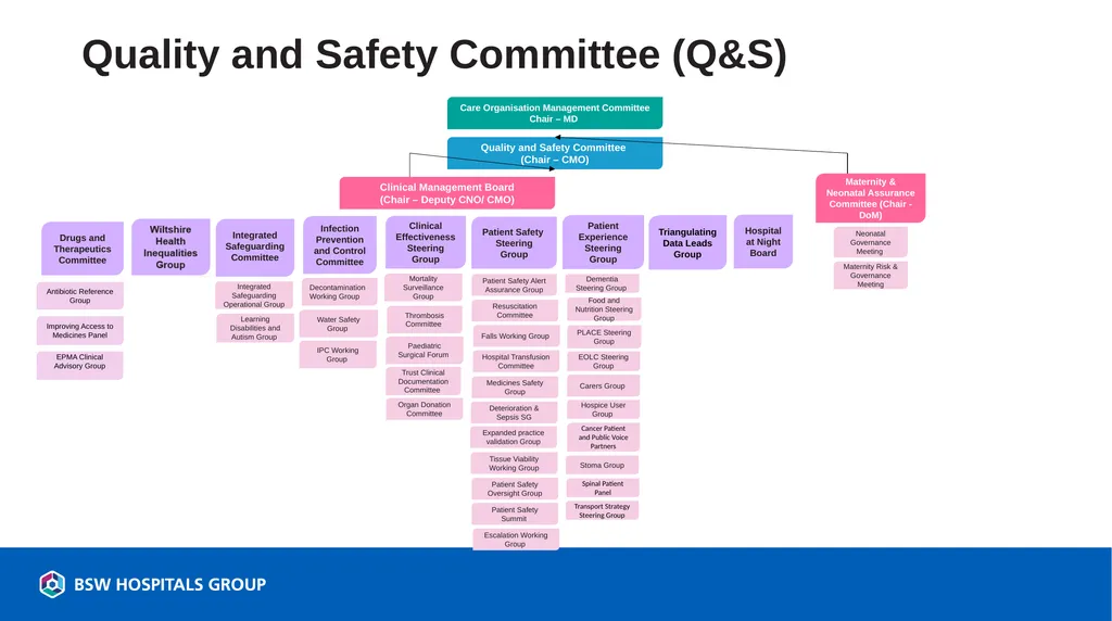 Care Organisation Committee Structures July 2026 - slide 3 of 6