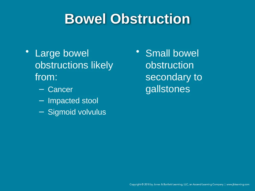Chapter 44 Geriatric Emergencies Introduction - slide 130 of 242