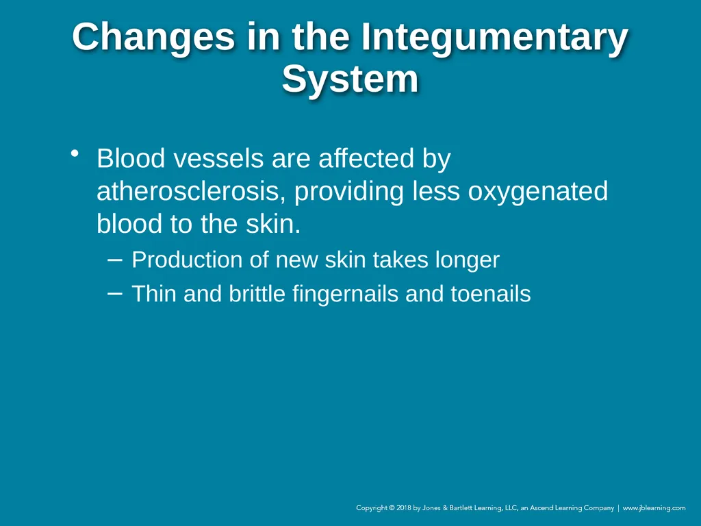Chapter 44 Geriatric Emergencies Introduction - slide 44 of 242