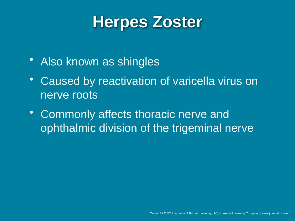 Chapter 44 Geriatric Emergencies Introduction - slide 193 of 242