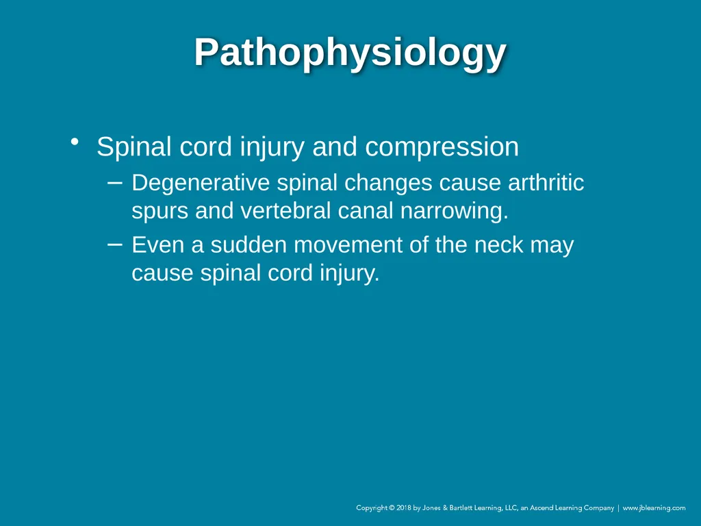 Chapter 44 Geriatric Emergencies Introduction - slide 221 of 242