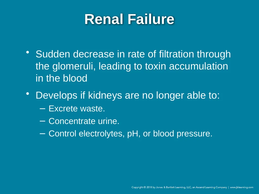 Chapter 44 Geriatric Emergencies Introduction - slide 148 of 242
