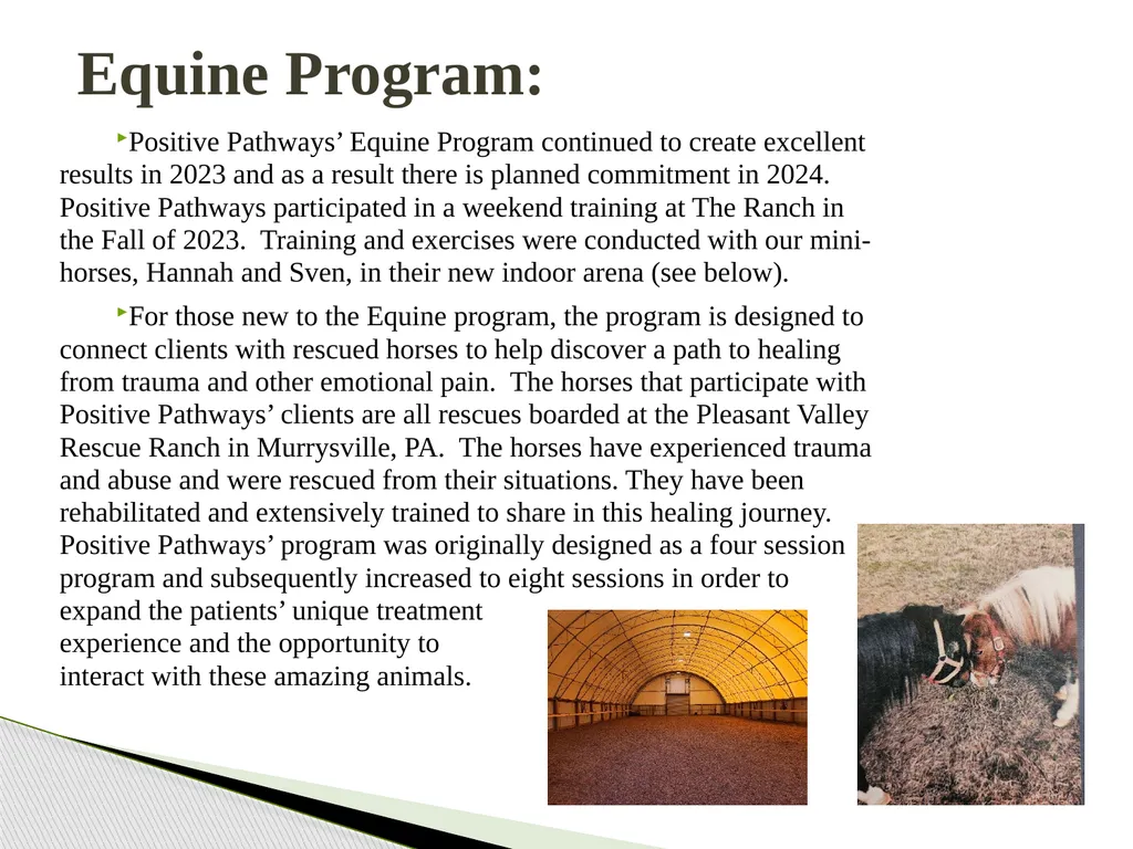 Annual Report 2023 Positive Pathways continued to - slide 3 of 7