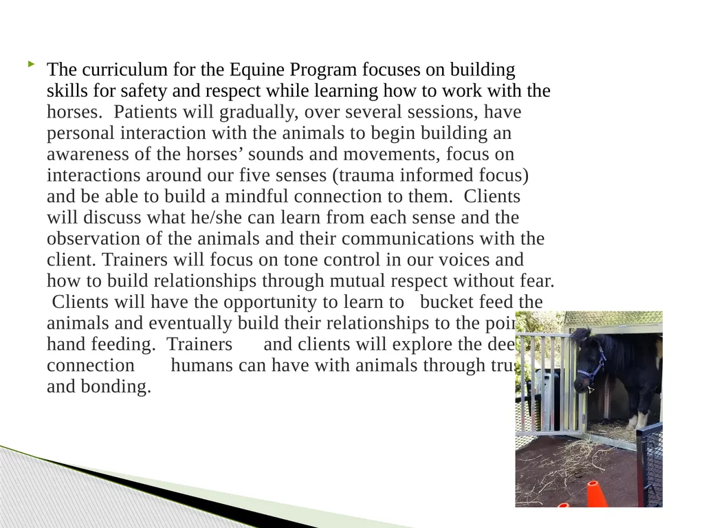 Annual Report 2023 Positive Pathways continued to - slide 4 of 7