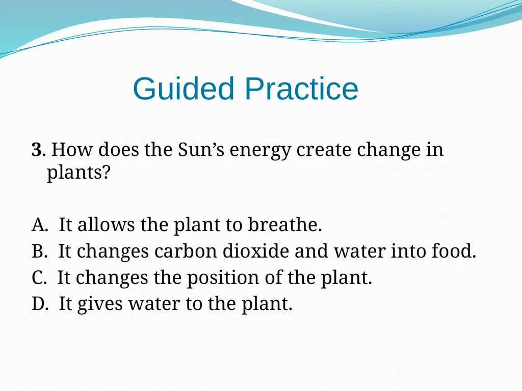 Elementary Science Science Focus Lesson - slide 15 of 23