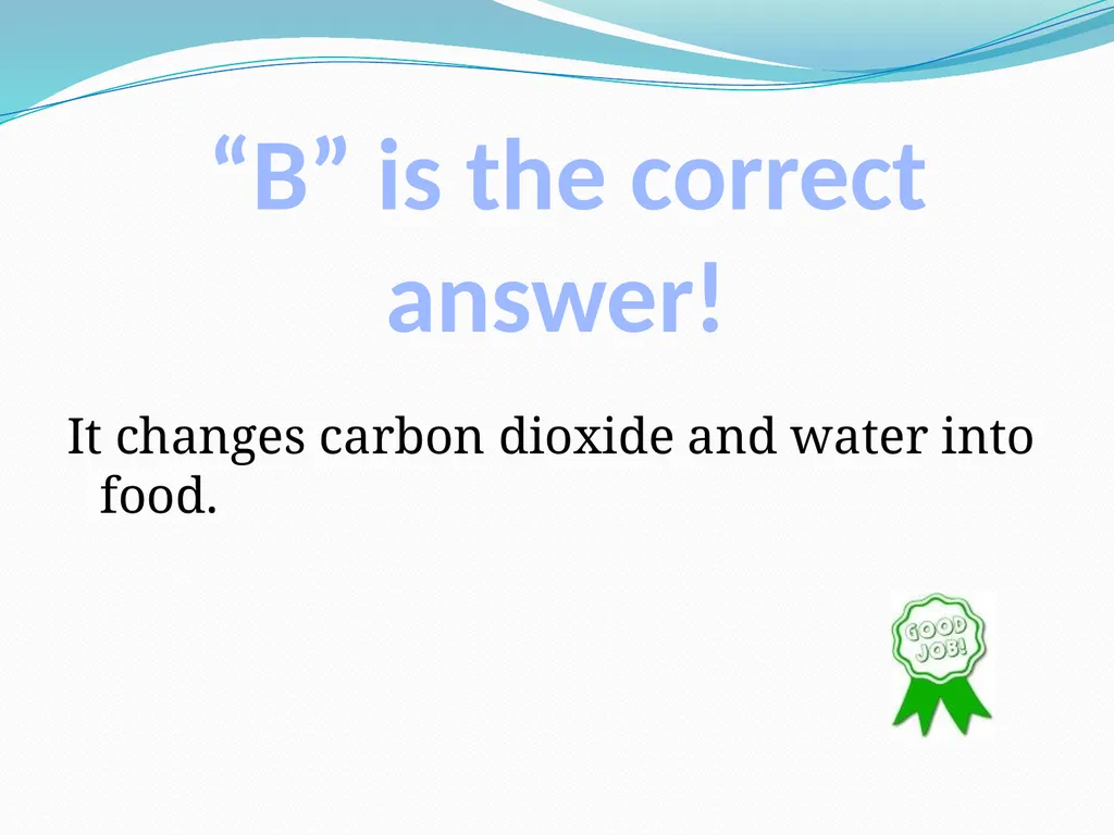 Elementary Science Science Focus Lesson - slide 16 of 23