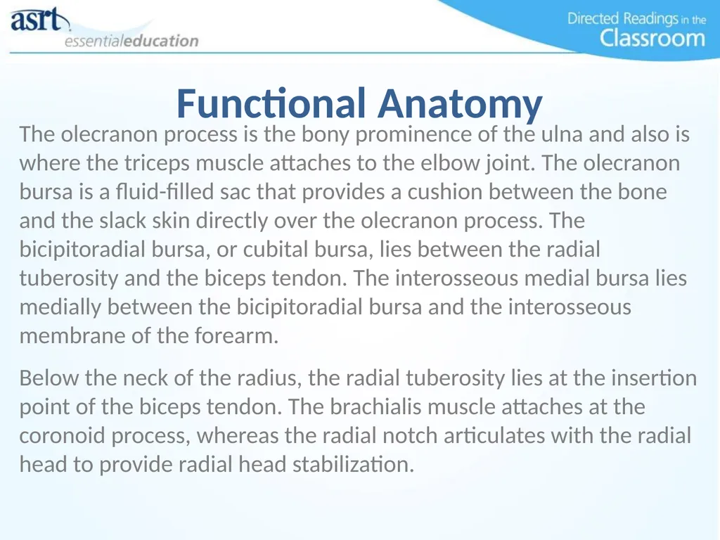 Elbow Injuries Directed Readings In the Classroom - slide 8 of 66