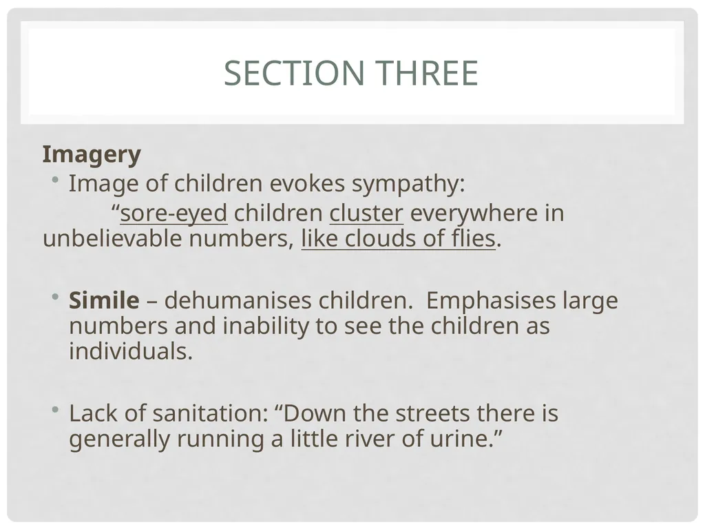 George Orwell Marrakech Prior Knowledge Discuss - slide 20 of 40