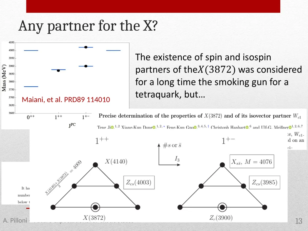 Future expectations for exotic states Alessandro - slide 13 of 38