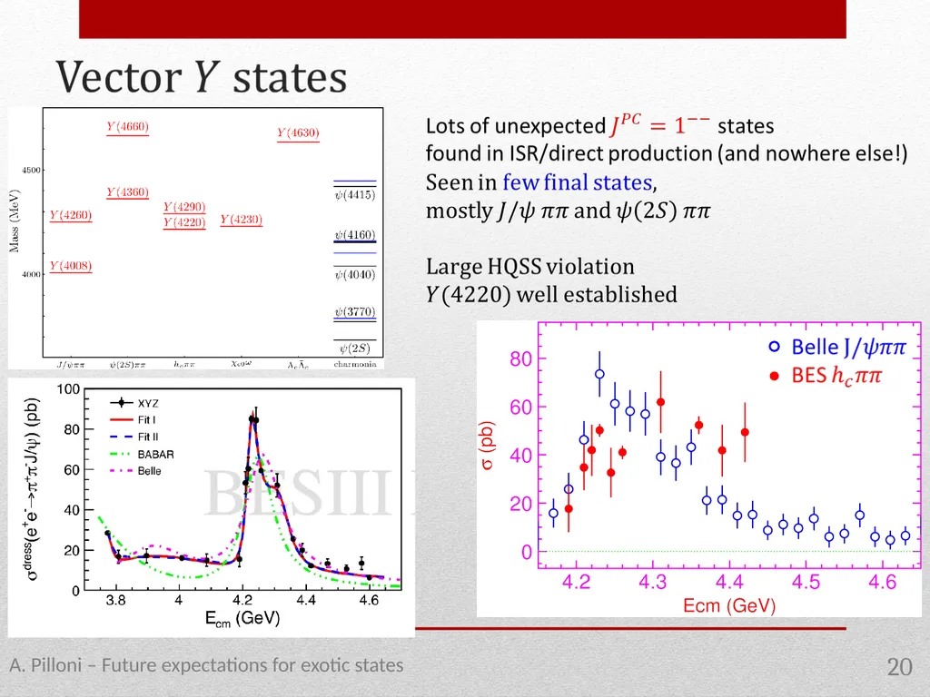 Future expectations for exotic states Alessandro - slide 20 of 38