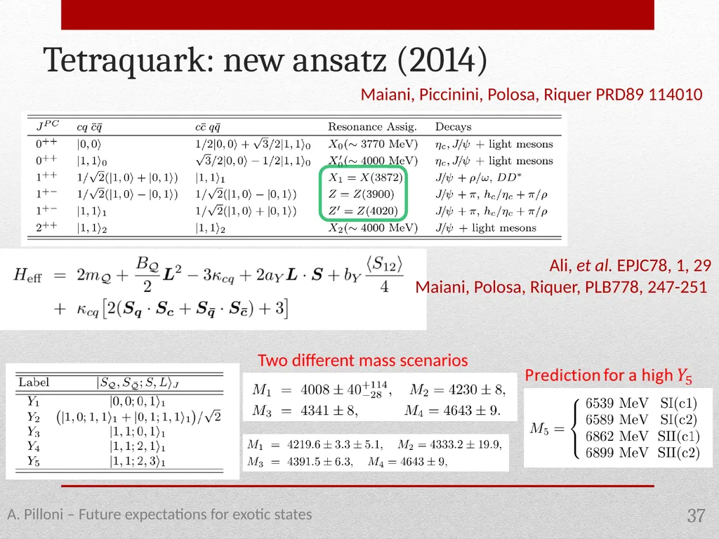 Future expectations for exotic states Alessandro - slide 37 of 38