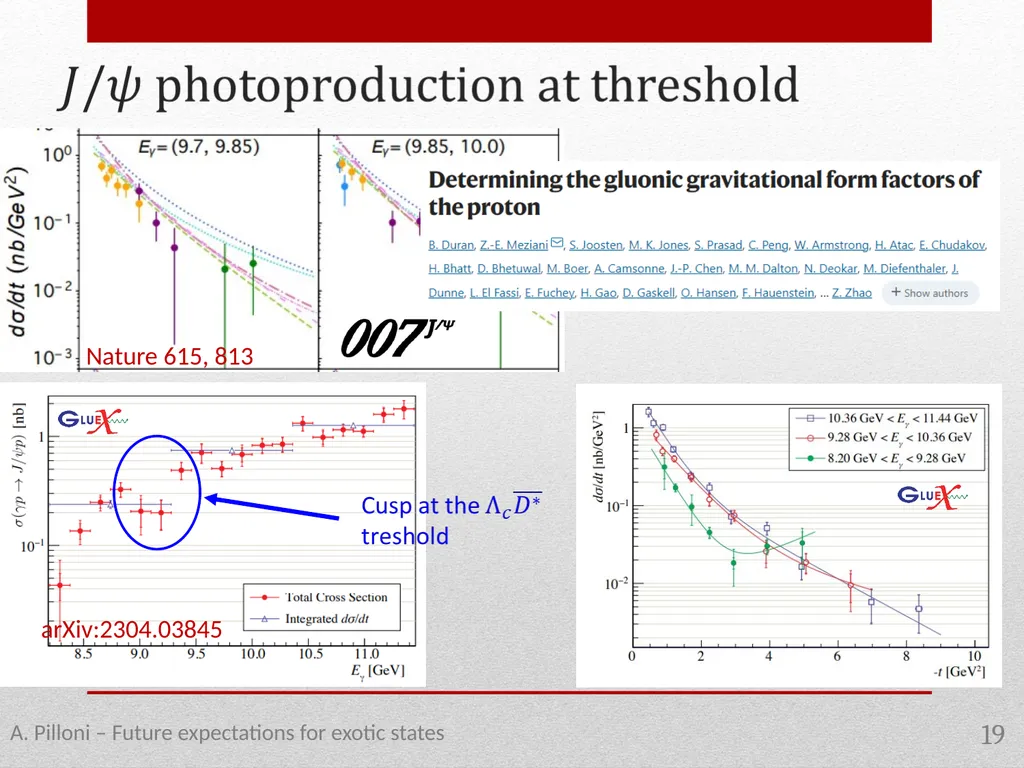 Future expectations for exotic states Alessandro - slide 19 of 38