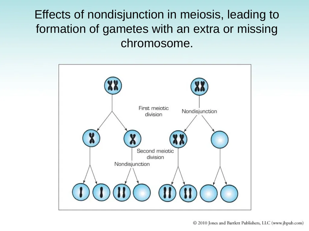 Chapter 9 Congenital and Hereditary Diseases - slide 28 of 50