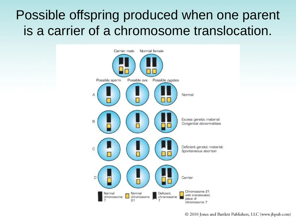 Chapter 9 Congenital and Hereditary Diseases - slide 32 of 50