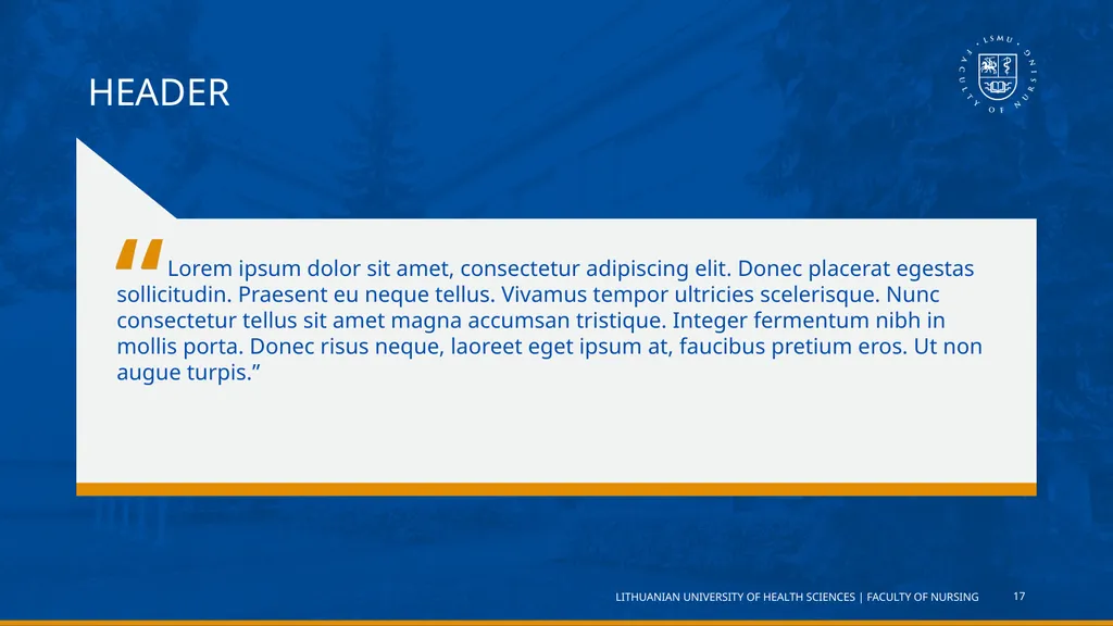 TITLE Full name Lorem ipsum dolor sit amet, - slide 17 of 20