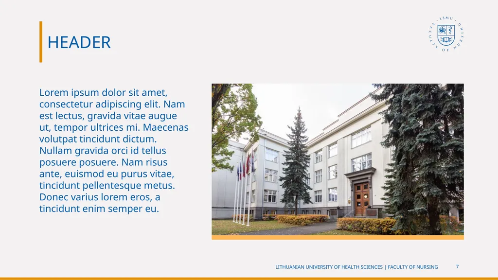 TITLE Full name Lorem ipsum dolor sit amet, - slide 7 of 20