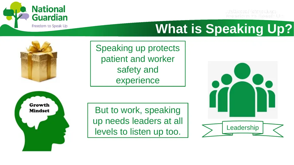 Information Session for Freedom To Speak Up - slide 4 of 24