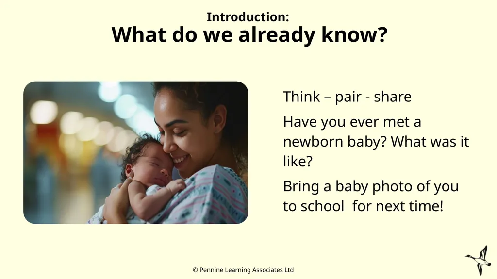 Thank you for using this resource. We hope it - slide 8 of 17