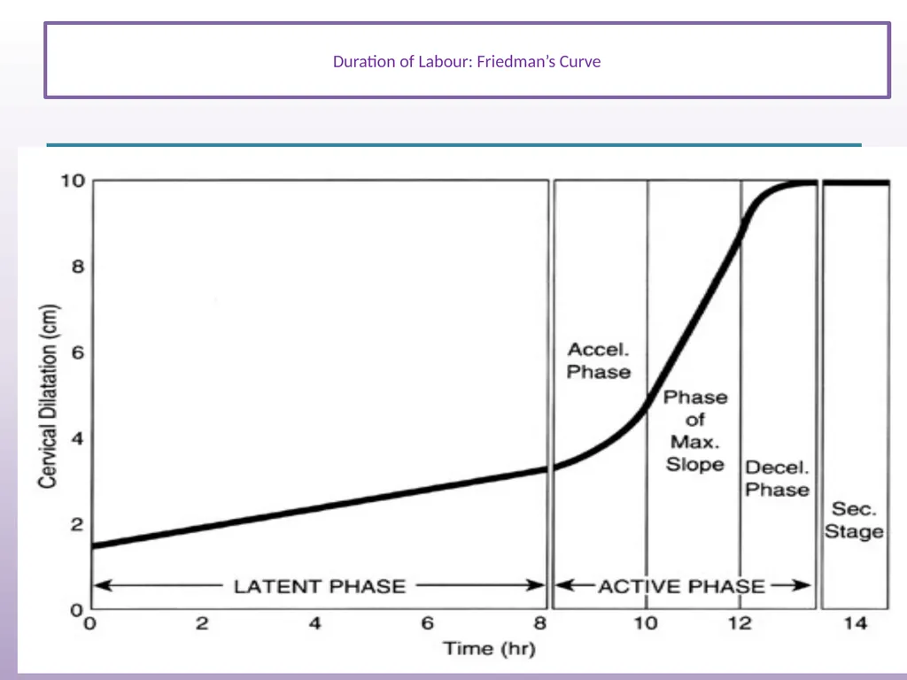 Normal Labour and Birth Objectives Define normal - slide 14 of 35