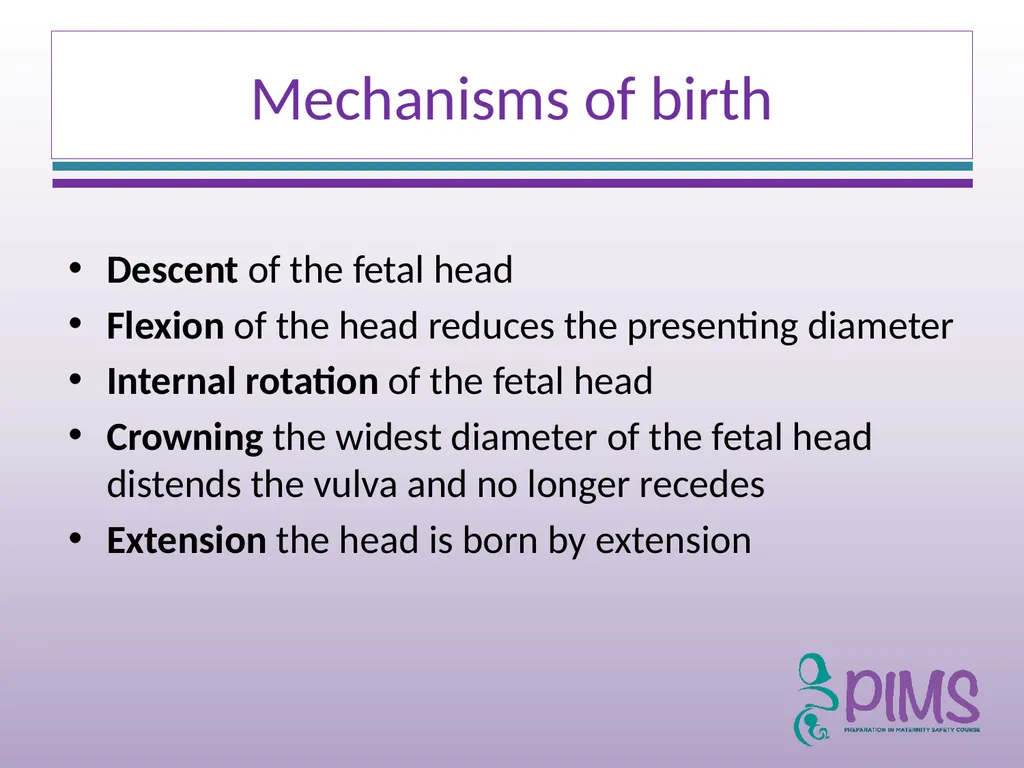 Normal Labour and Birth Objectives Define normal - slide 29 of 35