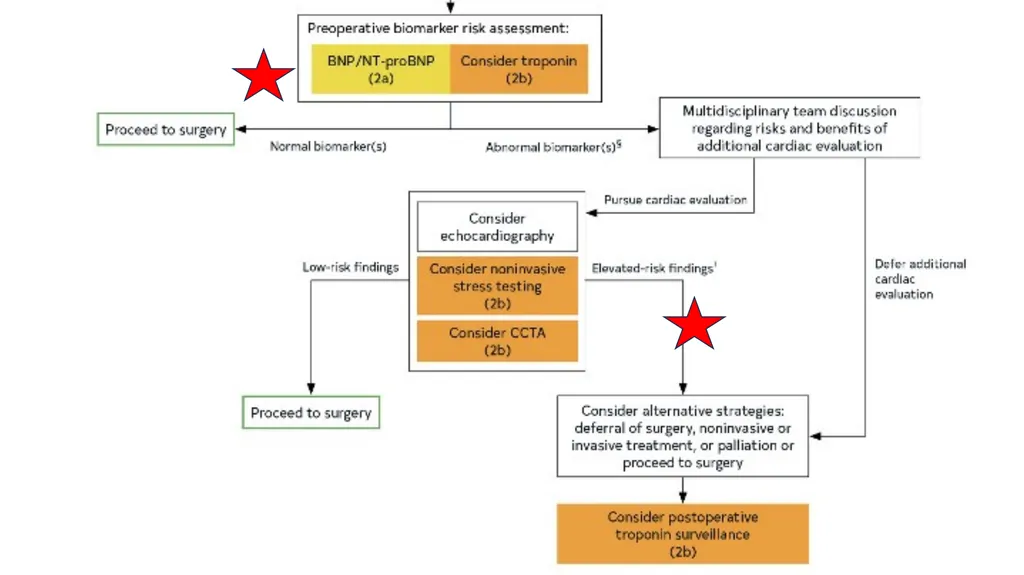 Preoperative cardiovascular risk assessment and - slide 17 of 27
