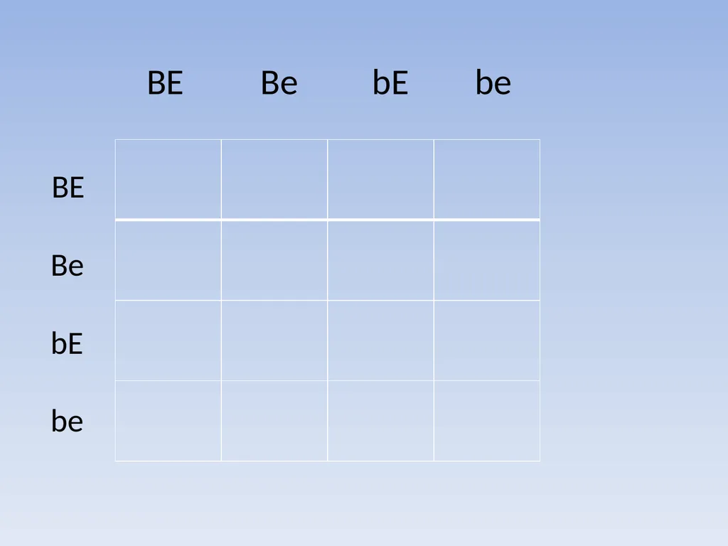 Punnett Squares: Genetic Crosses Making Genetic - slide 20 of 23