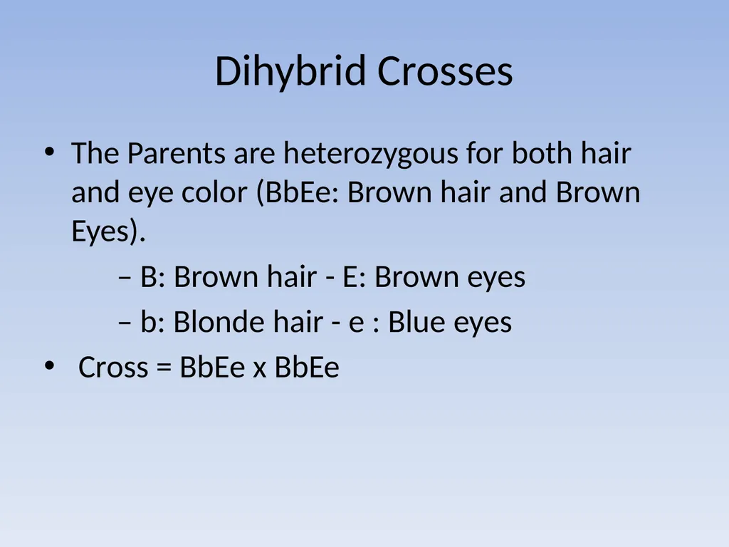 Punnett Squares: Genetic Crosses Making Genetic - slide 18 of 23