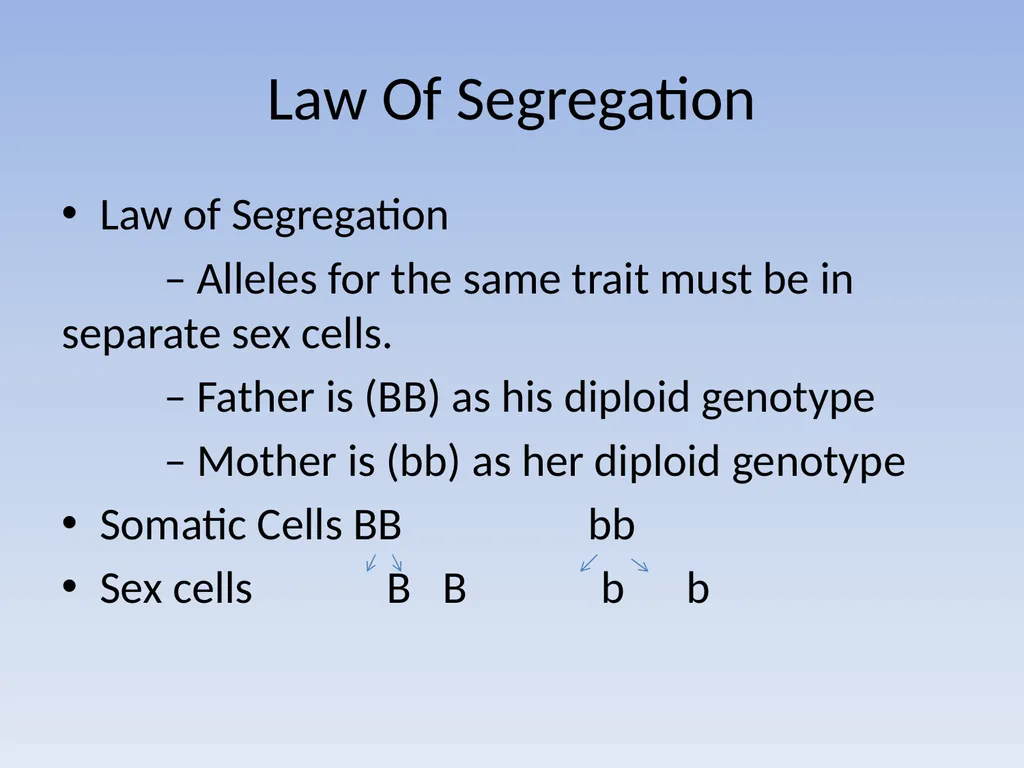 Punnett Squares: Genetic Crosses Making Genetic - slide 6 of 23