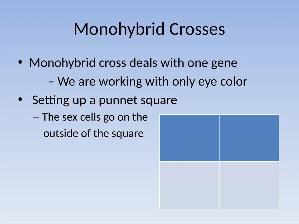 Punnett Squares: Genetic Crosses Making Genetic - slide 7 of 23