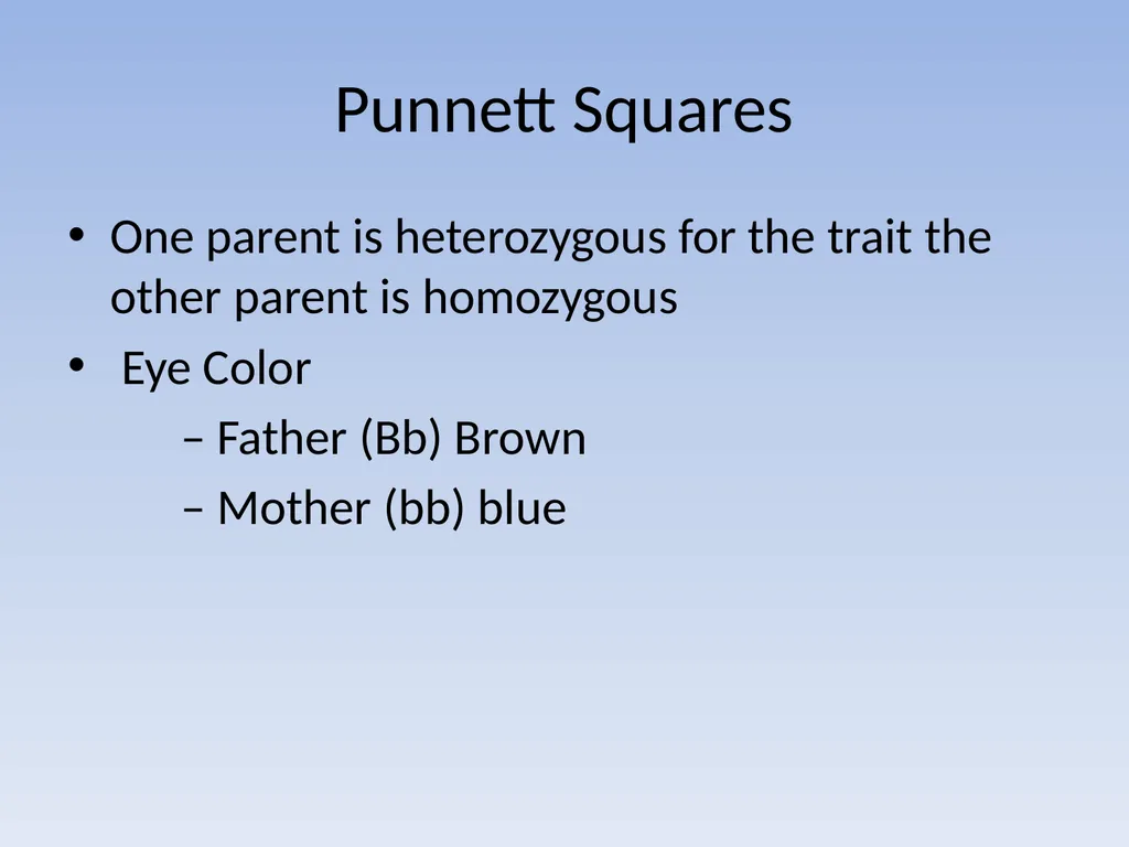 Punnett Squares: Genetic Crosses Making Genetic - slide 12 of 23