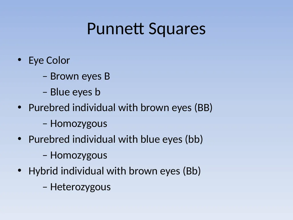 Punnett Squares: Genetic Crosses Making Genetic - slide 4 of 23