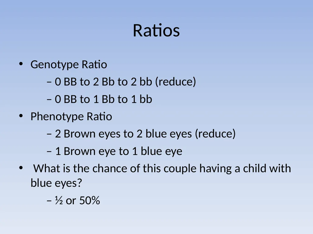 Punnett Squares: Genetic Crosses Making Genetic - slide 14 of 23