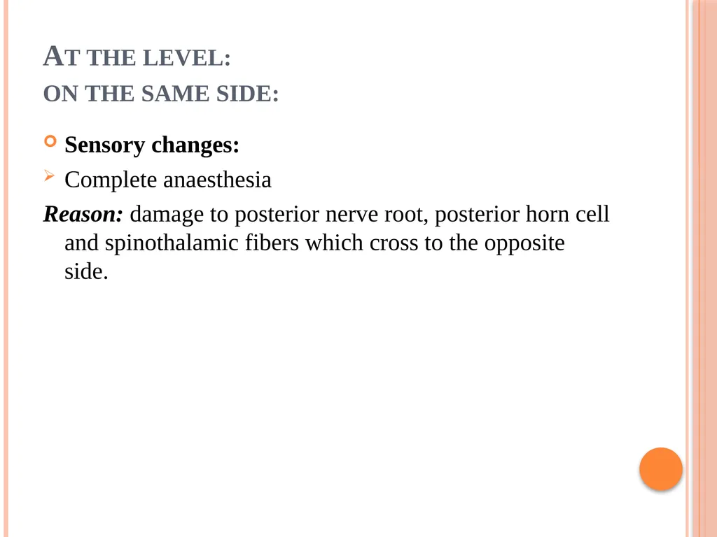 Hemi section of spinal cord - Brown sequard - slide 14 of 19