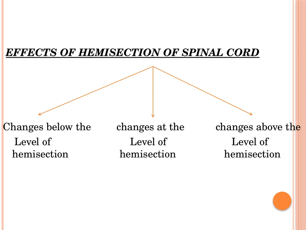 Hemi section of spinal cord - Brown sequard - slide 5 of 19