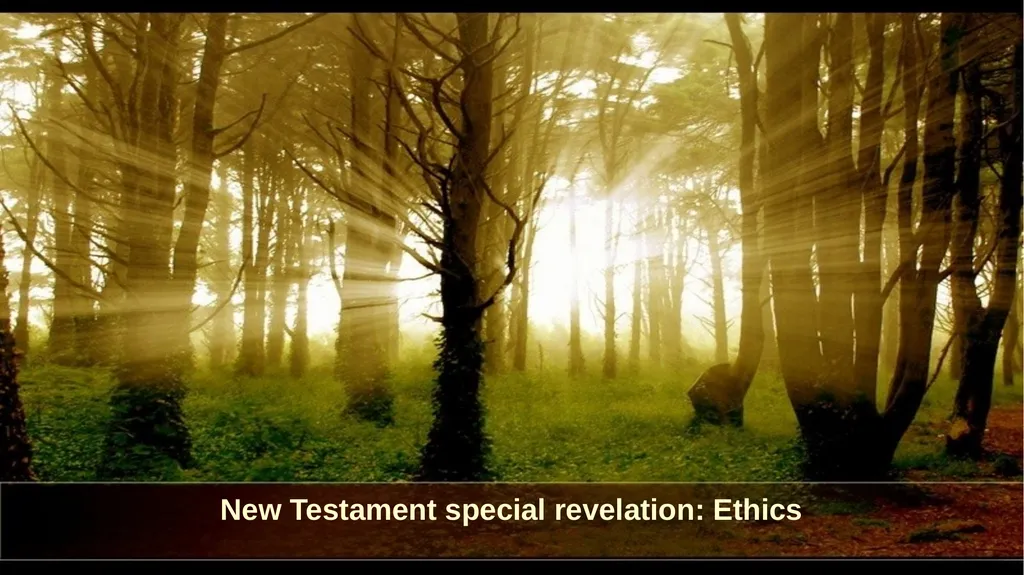 Introduction to Christian Ethics Jim Sutherland, - slide 35 of 55