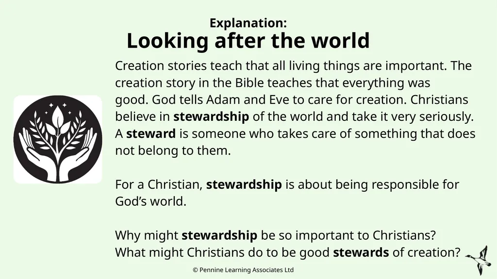 Thank you for using this resource. We hope it - slide 17 of 24