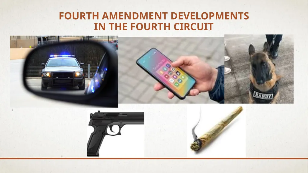 SUPREME Court and Fourth Circuit Update: Important - slide 19 of 39
