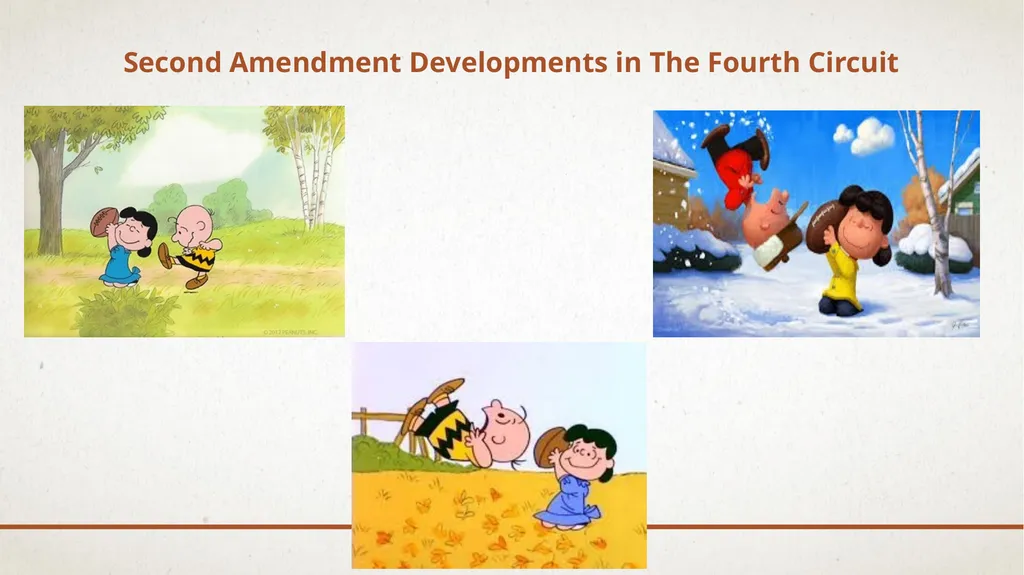 SUPREME Court and Fourth Circuit Update: Important - slide 13 of 39