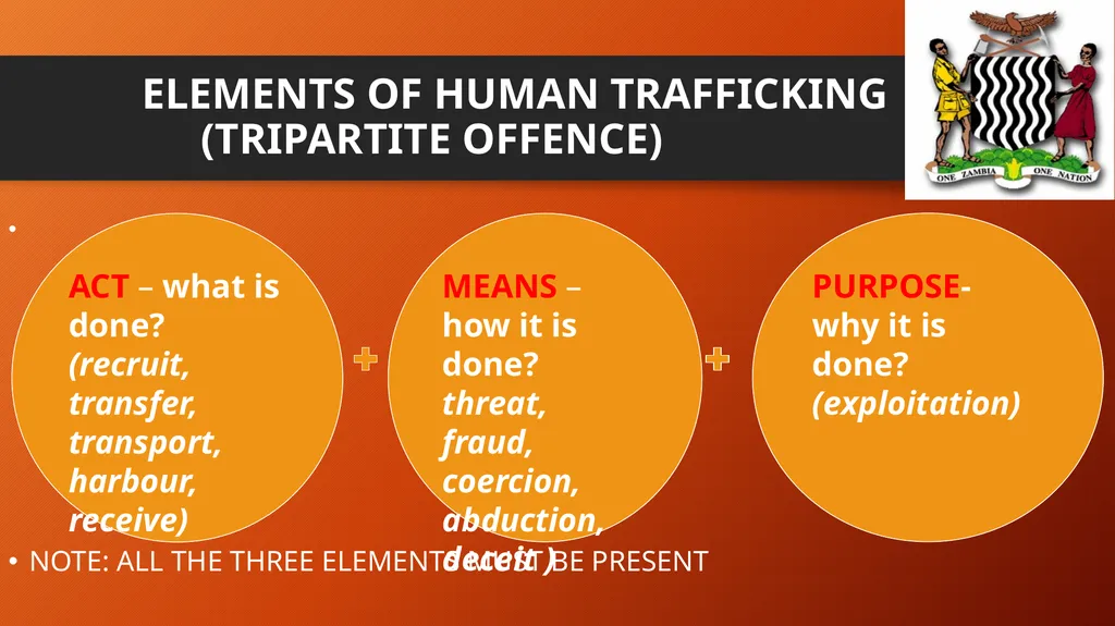COMBATTING HUMAN TRAFFICKING: CHALLENGES AND - slide 10 of 22