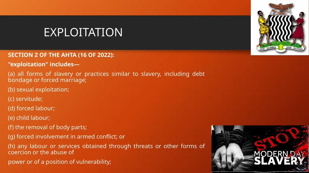 COMBATTING HUMAN TRAFFICKING: CHALLENGES AND - slide 11 of 22