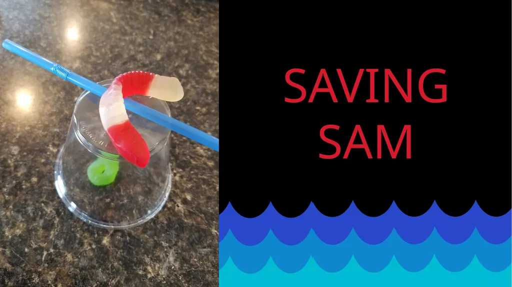 SAVING SAM Poor Sam is a worm that has found - slide 1 of 3
