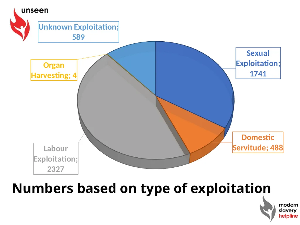 Modern Slavery Overview Rachel Collins-White - slide 6 of 15