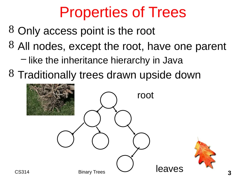 Topic 18 Binary Trees "A tree may grow a thousand - slide 3 of 50