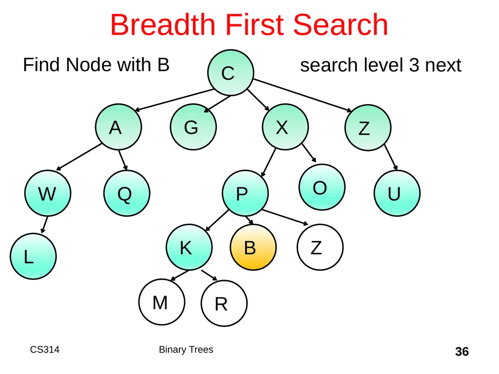 Topic 18 Binary Trees "A tree may grow a thousand - slide 36 of 50