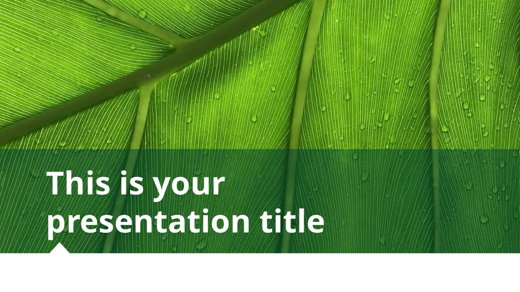 This is your presentation title INSTRUCTIONS FOR - slide 1 of 39