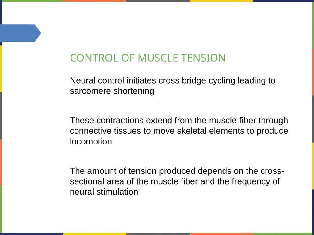 Chapter 38 THE MUSCULOSKELETAL SYSTEM PowerPoint - slide 15 of 15