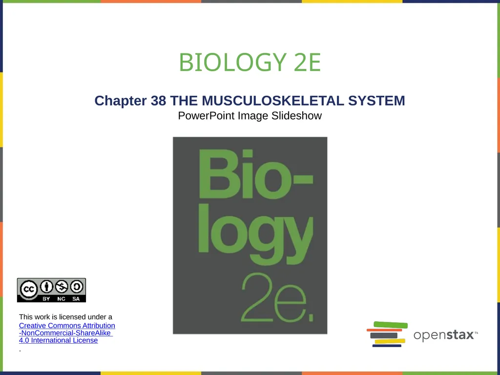 Chapter 38 THE MUSCULOSKELETAL SYSTEM PowerPoint - slide 1 of 15
