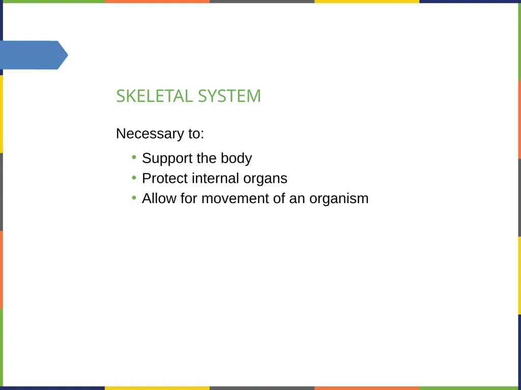 Chapter 38 THE MUSCULOSKELETAL SYSTEM PowerPoint - slide 3 of 15
